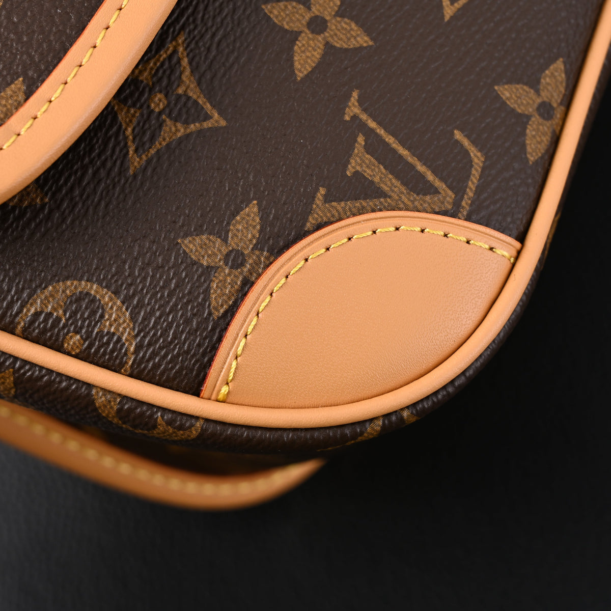 Louis Vuitton Croissant Bag Monogram Canvas