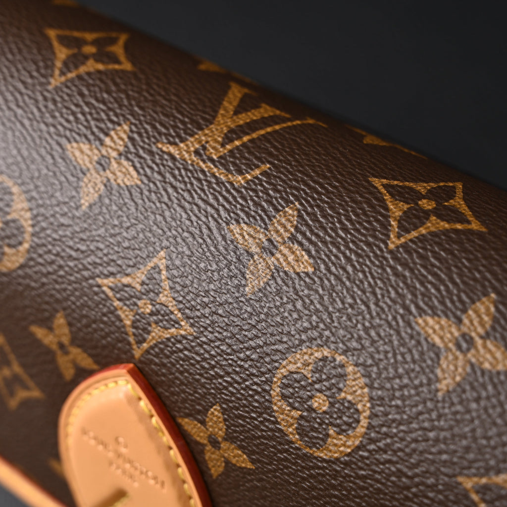 Louis Vuitton Croissant Bag Monogram Canvas